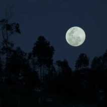 中秋夜凉如水，来这里打捞月光，希望你也能见到属于自己的月亮！